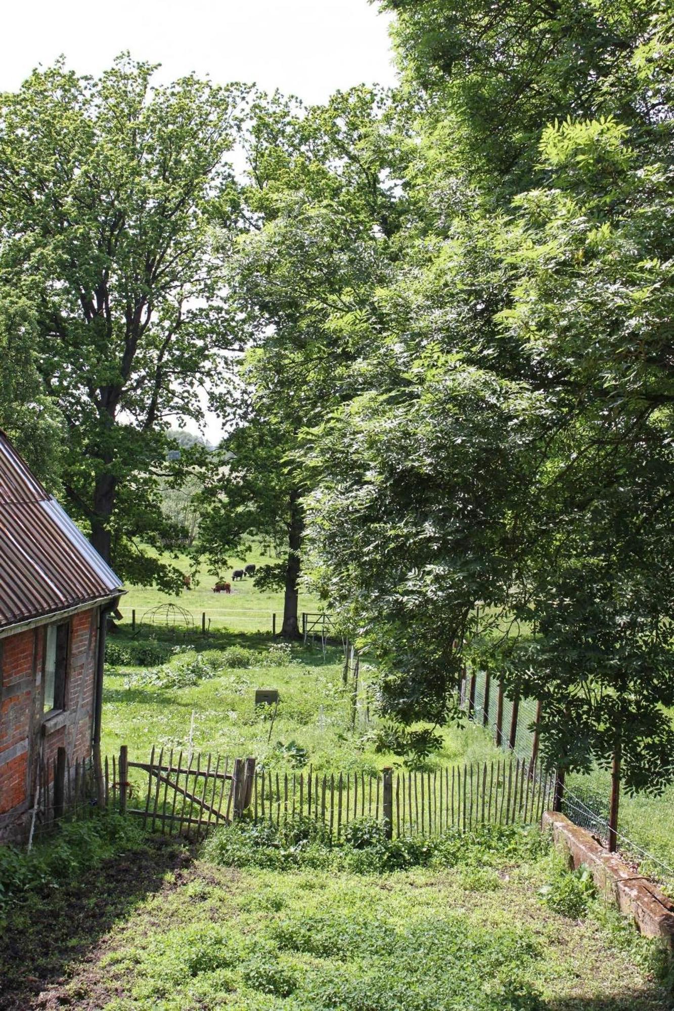 Ferienwohnung Auf Der Ruebenburg Barnsen Eksteriør billede
